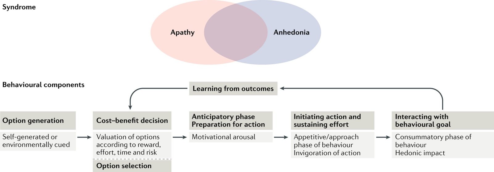 Apathy and Anhedonia: More Than Just Sadness