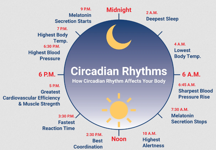 Patterns of Sleep: Disrupted Rhythms and the Path Back to Harmony